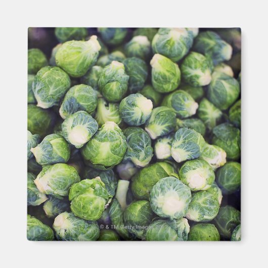 Bright Green Fresh Brussels Sprouts Magneet (Voorkant)