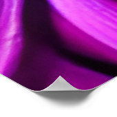 Bright kleurrijke Daisy Flowers Poster (Hoek)