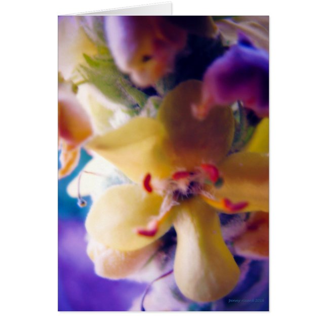 Bright-lentestventiel (Voorkant)