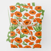 Bright Orange Daisies Envelopper le jeu de papier (En situation)