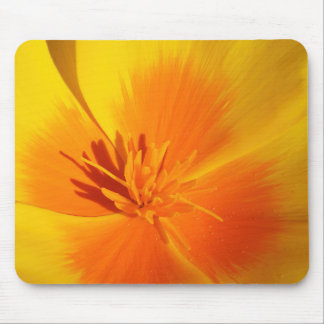 Bright Oranje California Poppy Center met sterren Muismat