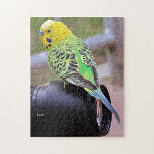 Bright parkiet vogel op cameralens legpuzzel