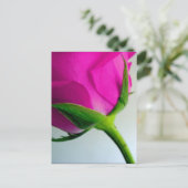 Bright Pink Rose Briefkaart (Staand voorkant)