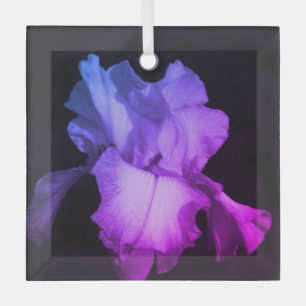 Bright Purple Iris Photo Ornement en céramique