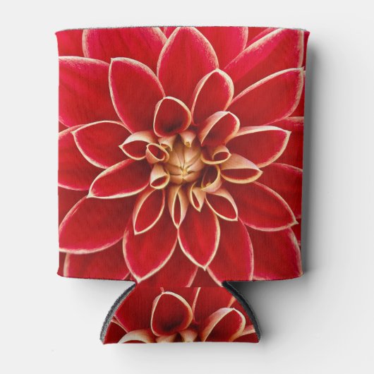 Bright Red Dahlia Flower Close Up Photo Blikjeskoeler (Voorkant)