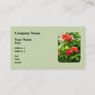 Bright Red Geraniums Visitekaartje