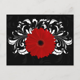 Bright Red Gerbera Daisy op zwart Briefkaart