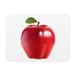 Bright Red Juicy Delicious Apple Magneet