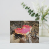 Bright Red Musroom #1 Carte postale (Debout devant)