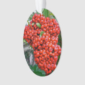 Bright Red Pyracantha Berries Ornament (voorkant)