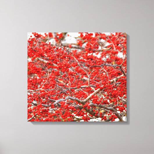 Bright Red Winterberries Holly Tree Berries Canvas Afdruk (Voorkant)