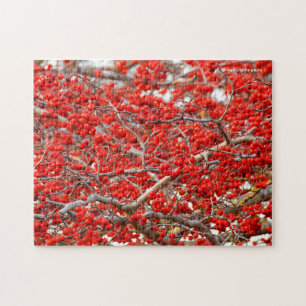 Bright Red Winterberries Holly Tree Berries Legpuzzel