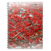 Bright Red Winterberries Holly Tree Berries Notitieboek (Voorkant)