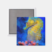 Bright Seahorse | Hippocampus Magneet (Voorkant / Achterkant)