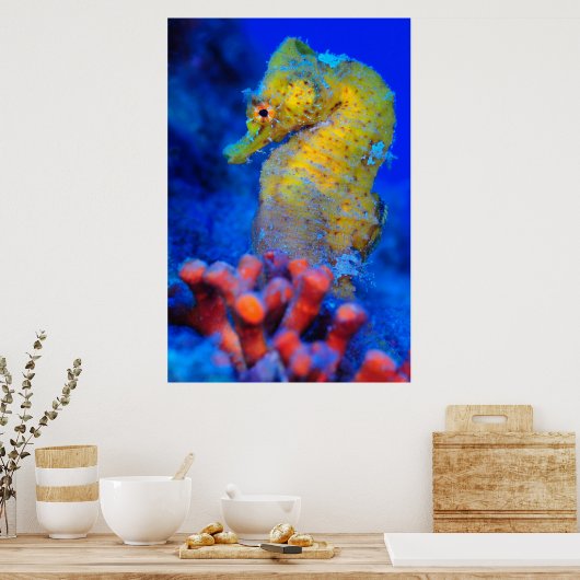 Bright Seahorse | Hippocampus Poster (Keuken)