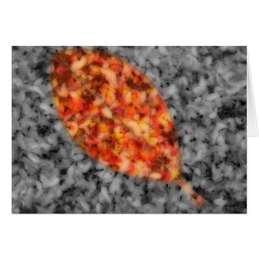 Bright Shadows Kaart (Voorkant Horizontaal)