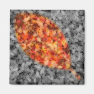 Bright Shadows Magnet Magneet