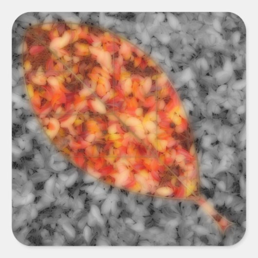 Bright Shadows Stickers (Voorkant)