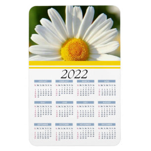 Bright Shasta Daisy Kalender Floral Magnet 2022 Magneet