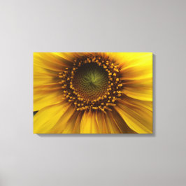 Bright Sun Canvas Afdruk