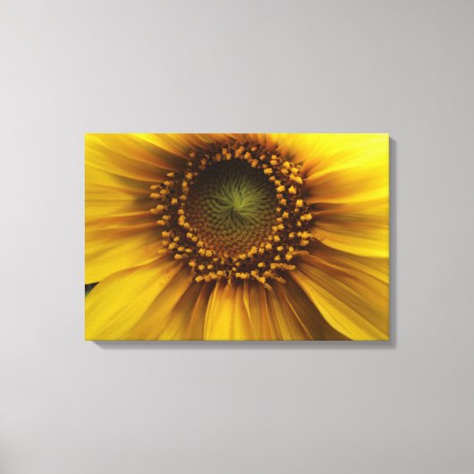 Bright Sun Canvas Afdruk (Voorkant)