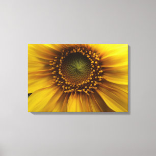 Bright Sun Canvas Afdruk