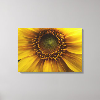 Bright Sun Canvas Afdruk