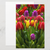 Bright Tulpen Briefpapier (Voorkant / Achterkant)