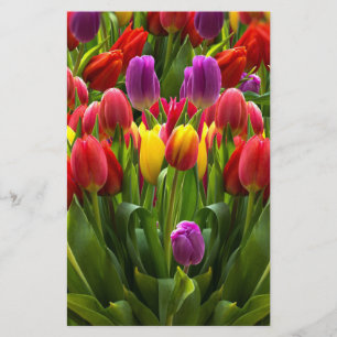 Bright Tulpen Briefpapier