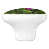 Bright Tulpen Keramische Knop (Zijkant)