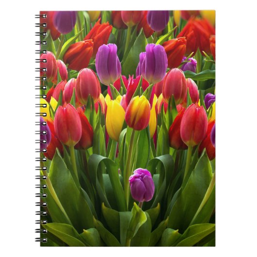Bright Tulpen Notitieboek (Voorkant)