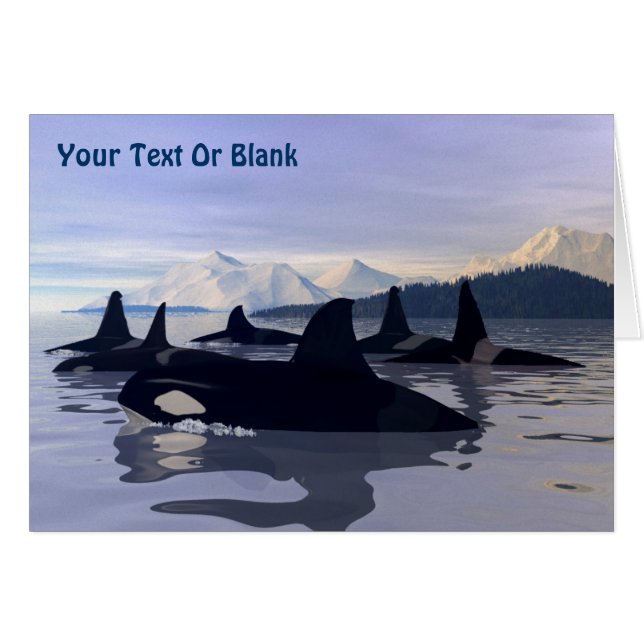 Bright Water Orca (Voorkant Horizontaal)