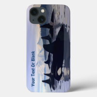 Bright Water Orca