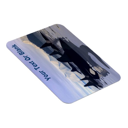 Bright Water Orca Magneet (Rechterzijde)
