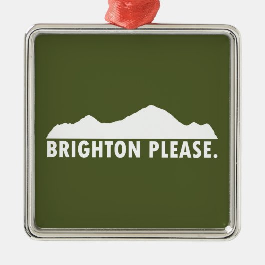 Brighton alsjeblieft metalen ornament (Voorkant)