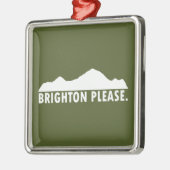 Brighton alsjeblieft metalen ornament (Links)