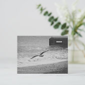 Brighton Briefkaart (Staand voorkant)