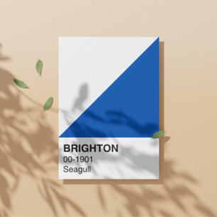 Brighton Zeemeeuw Blauw en Wit - Volledige breedte Perfect Poster