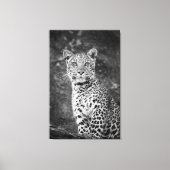 BrightStor Young Leopard Canvas Afdruk (Voorkant)