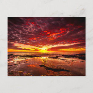 Briljant helder Tropisch Sunlight Rocky Shore Zee Briefkaart