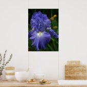 Briljant Paarse Iris-ventilator Poster (Keuken)