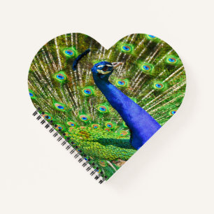 Briljantblauw Peacock Notitieboek