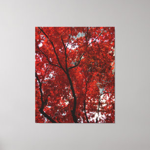Briljante Herfst Foliage Shining Gloriously op een Canvas Afdruk