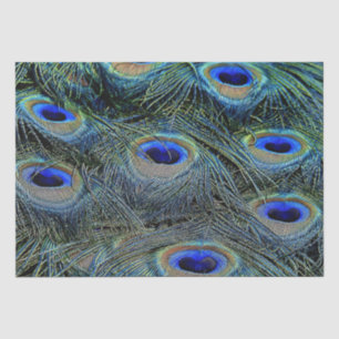 Briljante kleuren Peacock Feathers Blue Gold Tissuepapier