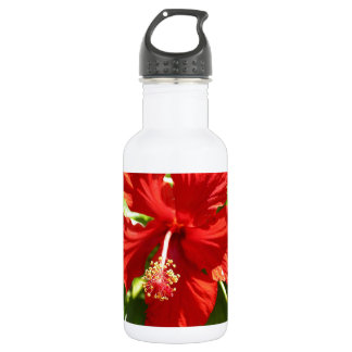 Briljante rode Hawaiian Hibiscus Flower Waterfles