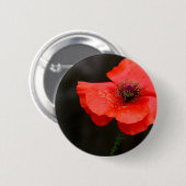 Briljante rode papaver ronde button 5,7 cm (Voorkant /achterkant)