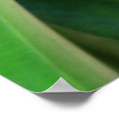 Briljantende Heliconia Poster (Hoek)