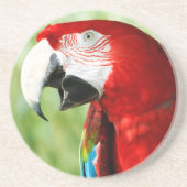 Briljantrood Zandsteen Onderzetter (Voorkant)