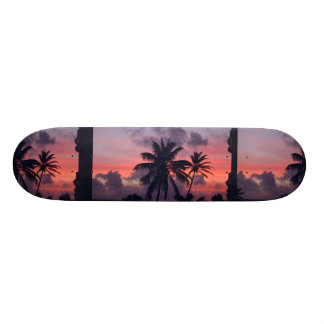 Briljanttropische zonnebank skateboard