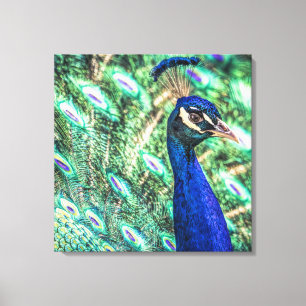Brillance en toile Peacock Bleu et Vert Imprimer